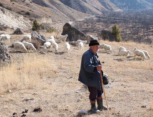 На пастбище в Ахвахском районе Дагестана. 2011 г. Фото Ахмеднаби Ахмеднабиева для "Кавказского узла"