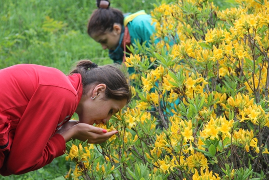Наши замечательные женщины, матери, сестры  