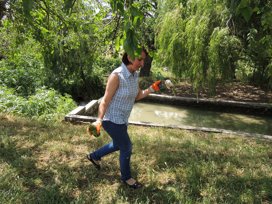 Карине откуда-то нашла последние две пустые бутылки. Карине откуда-то нашла последние две пустые бутылки.