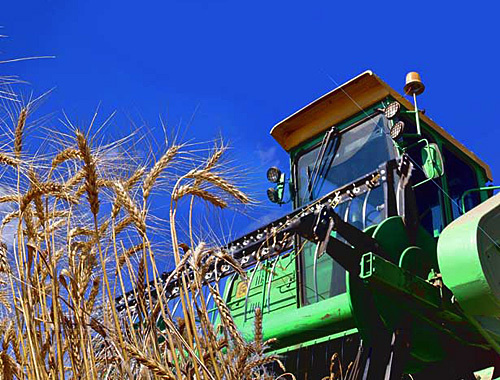 Уборка зерна на полях Октябрьского района Волгоградской области. Фото с сайта www.volganet.ru