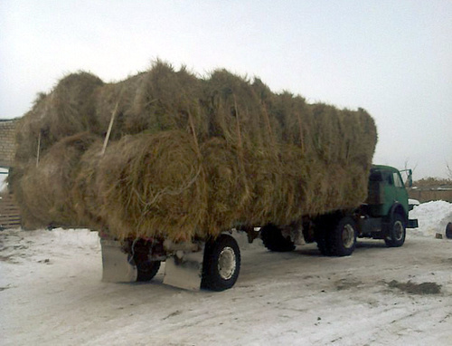Грузовик с сеном для продажи. Волгоградская область, январь 2014 г. Фото: http://www.avito.ru/volgograd/tovary_dlya_zhivotnyh/seno_272217947
Грузовик с сеном для продажи. Волгоградская область, январь 2014 г. Фото: http://www.avito.ru/volgograd/tovary_dlya_zhivotnyh/seno_272217947