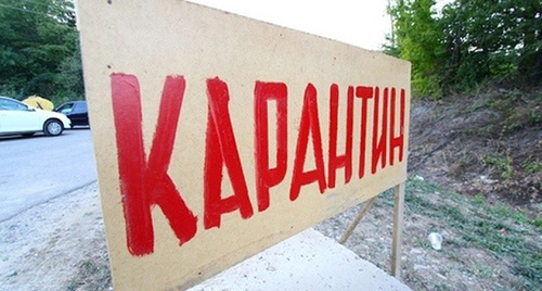 Табличка "Карантин". Фото: Юрий Гречко / Югополис, http://www.yugopolis.ru/news/incidents/2010/09/13/6198/proisshestviya Табличка "Карантин". Фото: Юрий Гречко / Югополис, http://www.yugopolis.ru/news/incidents/2010/09/13/6198/proisshestviya
