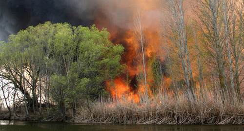 Пожар в заповеднике. Фото: http://astrakhanzapoved.ru/ Пожар в заповеднике. Фото: http://astrakhanzapoved.ru/