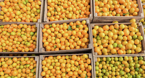 Мандарины. Фото © Sputnik / Томас Тхайцук
http://sputnik-abkhazia.ru/Abkhazia/20161228/1020157586/tarba-citrusovyj-sezon-2016-goda-mozhno-nazvat-provalnym.html