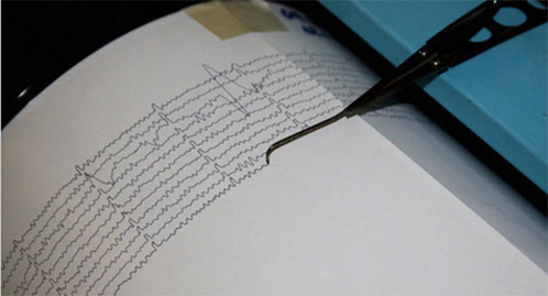 Показания сейсмографа. Фото https://sputnik-georgia.ru/georgia/20170123/234617542/Zemletrjasenie-proizoshlo-na-zapade-Gruzii.html Показания сейсмографа. Фото https://sputnik-georgia.ru/georgia/20170123/234617542/Zemletrjasenie-proizoshlo-na-zapade-Gruzii.html