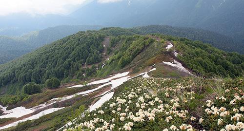 Кавказ,район горного хребта Ачишхо . Фото Дмитрий Комаров.
https://funsochi.ru/blogs/eos/2012/medoveevka-achishkho-zelenaya-byvshaya-meteostantsiya-krasnaya-polyana-den-tretii 