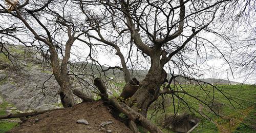 На линии соприкосновения в Нагорном Карабахе. Фото © Sputnik/ Asatur Yesayants

