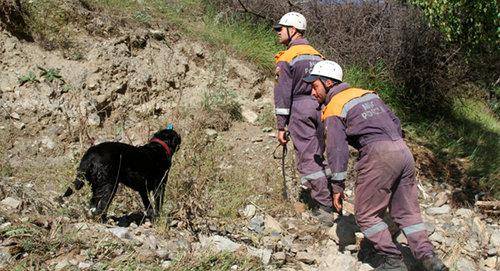 Кинологи ищут пропавших в горах людей. Фото МЧС РФ по РСО-Алания
