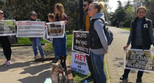 Участники митинга в защиту животных в Сочи, 14 апреля 2018 год. Фото: Светлана Кравченко для "Кавказского узла".