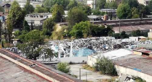Свалка близ Олимпийского парка в Адлере. Фото Светланы Кравченко для "Кавказского узла". Свалка близ Олимпийского парка в Адлере. Фото Светланы Кравченко для "Кавказского узла".