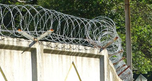 Колючая проволока на режимном объекте. Фото Нины Тумановой для "Кавказского узла" Колючая проволока на режимном объекте. Фото Нины Тумановой для "Кавказского узла"