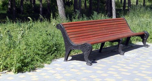 Парк в Волгограде. Фото Татьяны Филимоновой для "Кавказского узла" Парк в Волгограде. Фото Татьяны Филимоновой для "Кавказского узла"