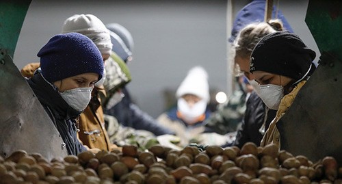 Работники в защитных масках на одной из торговых точек. Ставропольский край, март 2020 г. Фото: REUTERS/Eduard Korniyenko