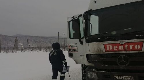 Сотрудник ДПС у большегрузного автомобиля в снегопад.  Фото УГИБДД ГУ МВД России 
