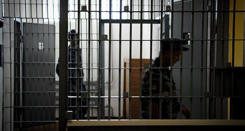 Колония. Фото: Елена Синеок. ЮГА.ру Колония. Фото: Елена Синеок. ЮГА.ру