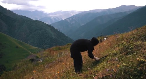 Женщина на сельхозработах в Цумадинском районе Дагестана. Кадр из фильма "У нас такое происходит" на YouTube-канале ROMB.