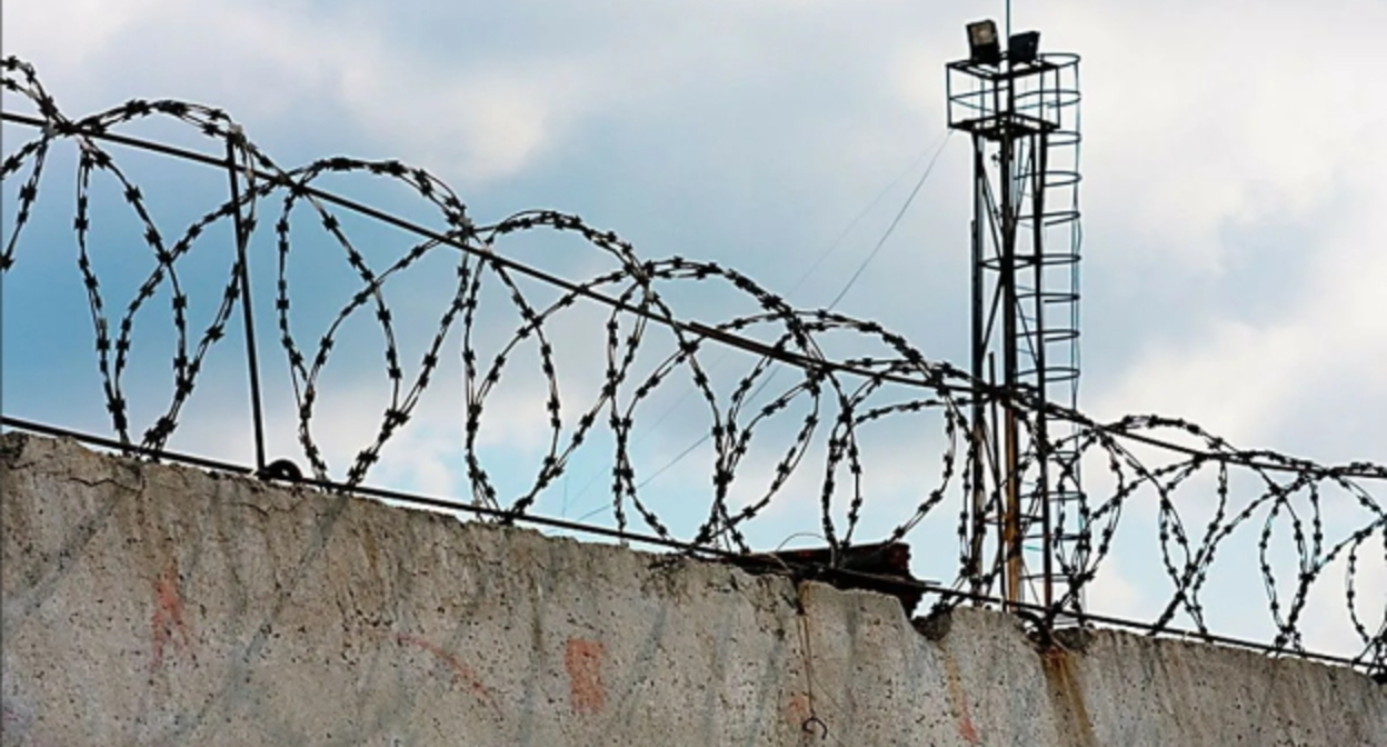 Колония, Елена Синеок, "Юга.ру"