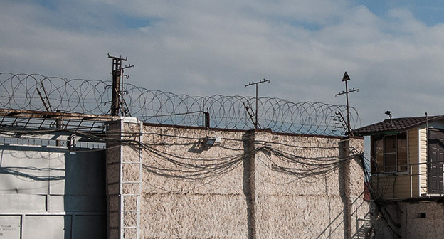 Колония. Фото: Елена Синеок, "ЮГА.ру" Колония. Фото: Елена Синеок, "ЮГА.ру"