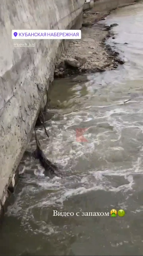 Скриншот видеоролика о сбросе сточных вод в реку Кубань. Telegram-канал "Типичный Краснодар"