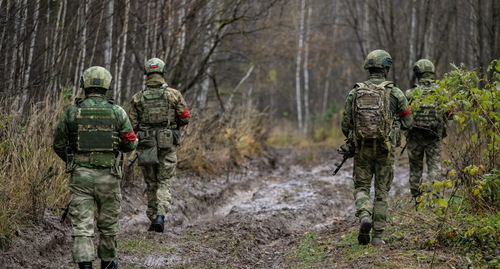 Силовики Росгвардии в лесу. Фото: https://rosguard.gov.ru/page/index/razvedka--delo-tonkoe Силовики Росгвардии в лесу. Фото: https://rosguard.gov.ru/page/index/razvedka--delo-tonkoe