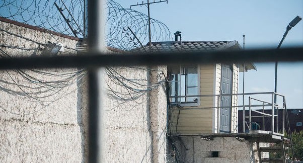 Колония. Фото: Елена Синеок, "Юга.ру" Колония. Фото: Елена Синеок, "Юга.ру"