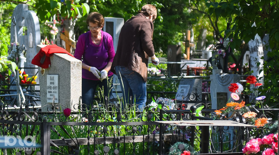 Радоница. Фото Елены Синеок, Юга.ру Радоница. Фото Елены Синеок, Юга.ру