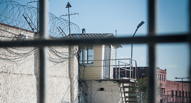 Колония. Фото: Елена Синеок, ЮГА.ру Колония. Фото: Елена Синеок, ЮГА.ру