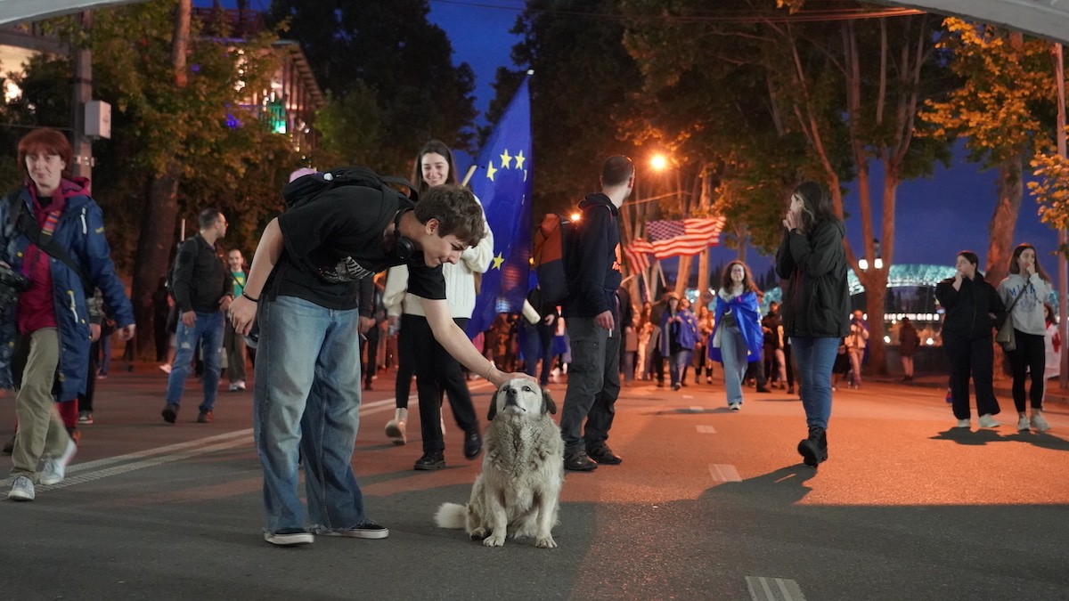 Поколение зумеров. Фото: Давид Пипиа/JAMnews Поколение зумеров. Фото: Давид Пипиа/JAMnews