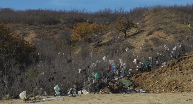 Мусорная свалка в Буйнакском районе. Скриншот видео https://dagestan-news.net/other/2024/11/06/124692.html