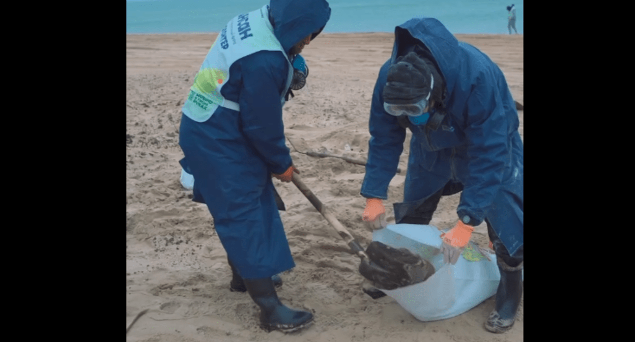 Волонтеры фонда "Инсан" очищают пляжи на Кубани. Стоп-кадр видео из telegram-канала фонда "Инсан" от 02.01.25, https://t.me/fondinsan/2939.

