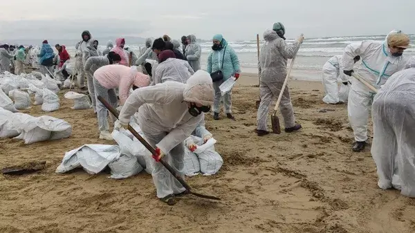 Очистка пляжей в Анапе. Фото: Telegram-канал: мэрия Анапы