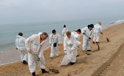 Сбор новых выбросов мазута между Благовещенской и Витязево. Скриншот фото оперштаба Краснодарского края от 27.03.25, https://t.me/opershtab23/12984.