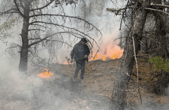 Пожар в Хунзахском заповеднике. Скриншот фото из Telegram-канала Нурмагомеда Задиева от 19.03.25, https://t.me/Zadiev_Nurmagomed/3850 Пожар в Хунзахском заповеднике. Скриншот фото из Telegram-канала Нурмагомеда Задиева от 19.03.25, https://t.me/Zadiev_Nurmagomed/3850