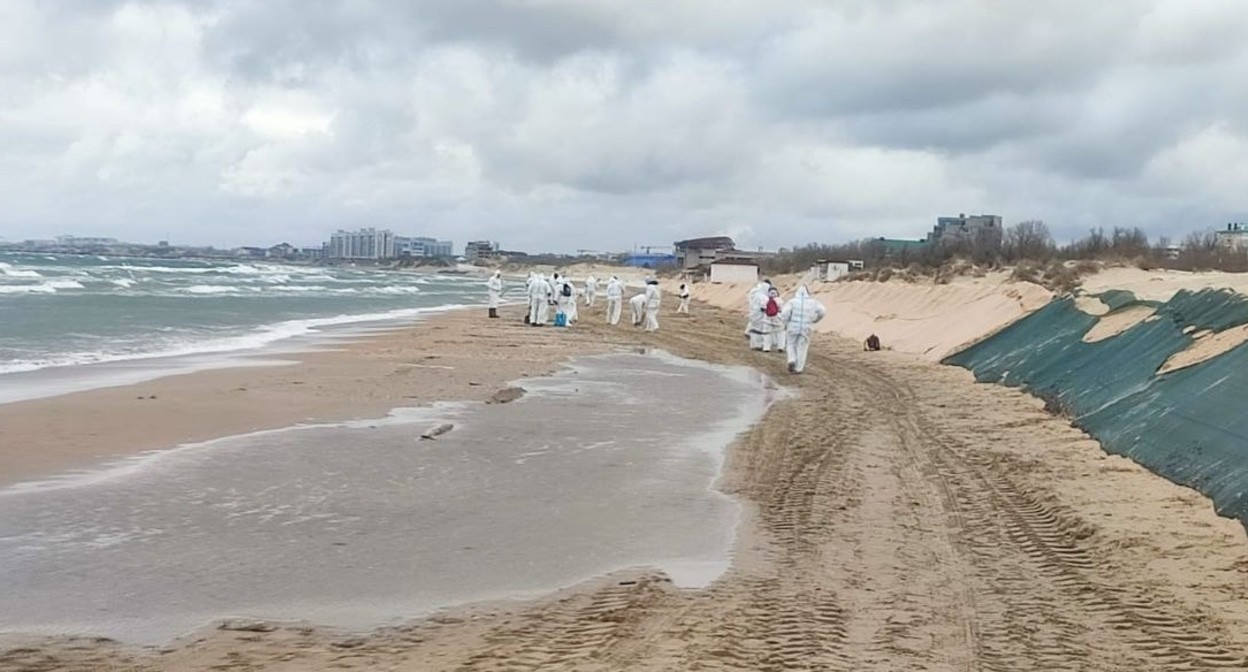 Участники ликвидации последствий разлива мазута. Анапа, 6 апреля 2025 года. Фото из телеграм-канала оперштаба Кубани https://t.me/opershtab23/13125