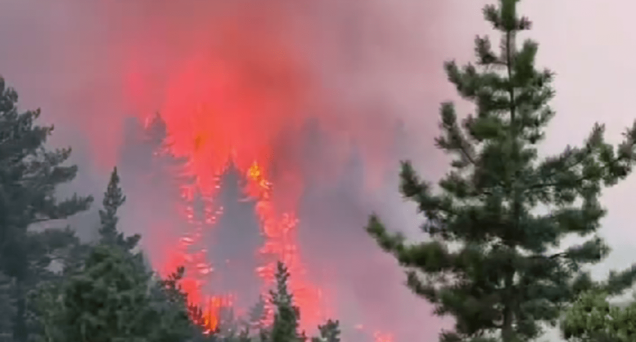 Лесной пожар близ села Инкучимахи. Стоп-кадр видео из Instagram (деятельность компани Meta, владеющей соцсетью, запрещена в России) села от 06.04.25, https://www.instagram.com/p/DIHPaneMoF8/