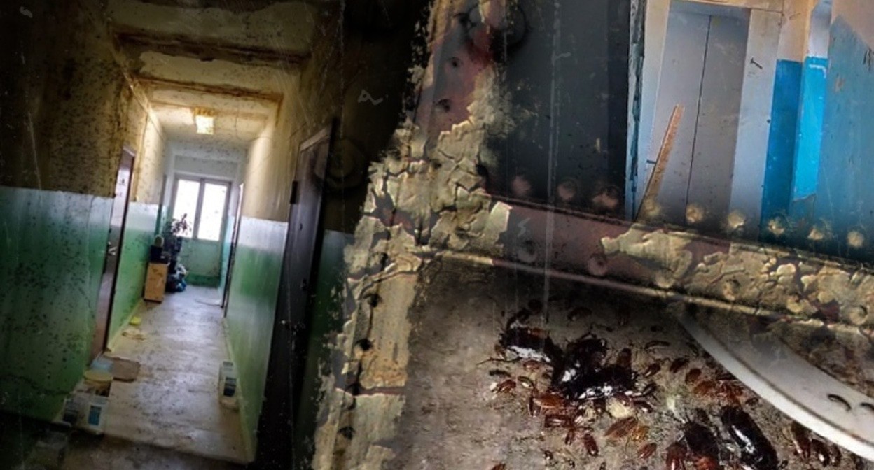 Аварийный дом по улице Сологубова в Волгограде. Фото: ИА "Высота 102" https://v102.ru/news/144140.html