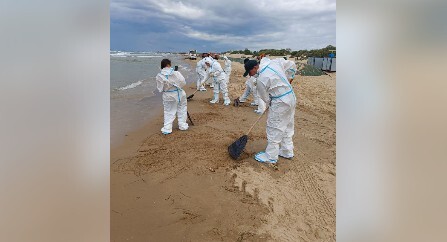 Состояние пляжа и работы по его очистке в анапском поселке Джемете. Фото из телеграм-канала оперштаба Кубани.