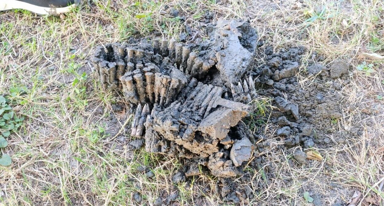 Содержимое схрона в Сунженском районе. Фото: МВД Ингушетии / Telegram