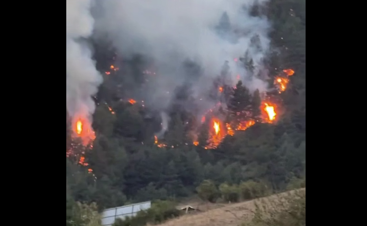 Лесной пожар в Тляратинском районе. Стоп-кадр видео из Telegram-канала Магомеда Бисавалиева от 30.08.25, https://t.me/bisavaliev1/7755