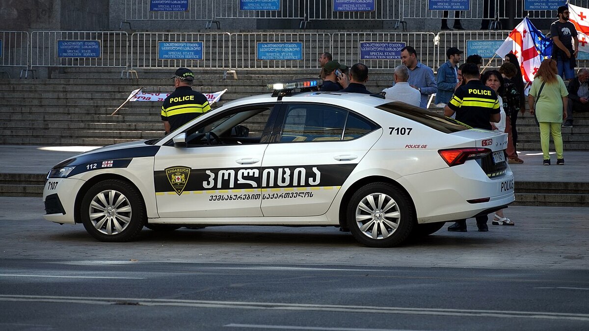 Полицейская машина у здания парламента Грузии. Фото:  Upwinxp / Wikimedia