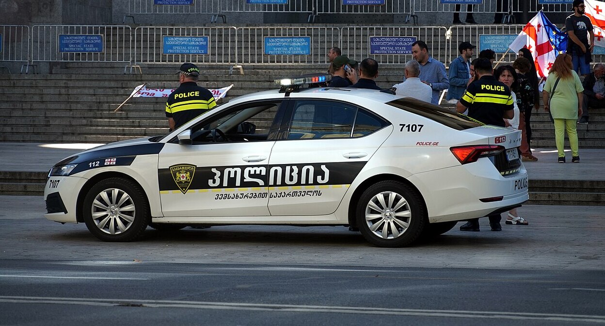 Полицейская машина у здания парламента Грузии. Фото: Upwinxp / Wikimedia