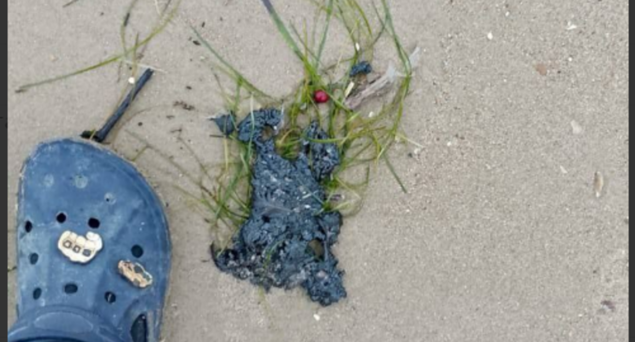 Новые выбросы мазута обнаружили волонтеры. Скриншот фото штаба "Дельфины" от 21.11.25, https://t.me/shtab_delfin/1514.