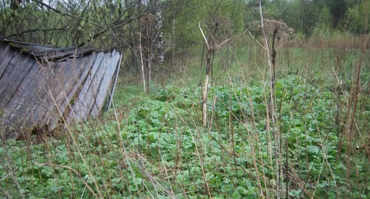 Заброшенный участок. Скриншот фото https://makler.md/md/real-estate/buy-and-rent/an/71464?attempt=1