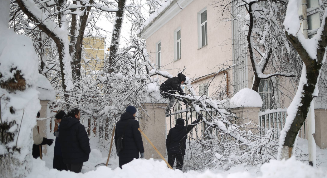 Уборка поваленных веток в Адыгее. Скриншот фото из Telegram-канала Мурата Кумпилова от 02.01.26, https://t.me/muratkumpilov/18082.