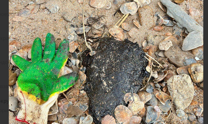 Комки мазута в районе Тузлы. Скриншот фото из Telegram-канала штаба "Дельфины" от 07.01.26, https://t.me/shtab_delfin/1703.