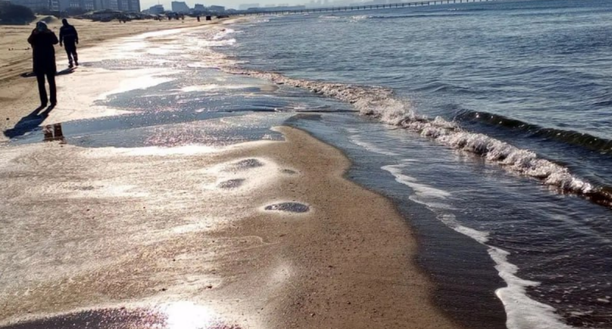 Пляж в Анапе. Скриншот фото оперштаба Кубани от 06.02.26, https://t.me/opershtab23/14949?single