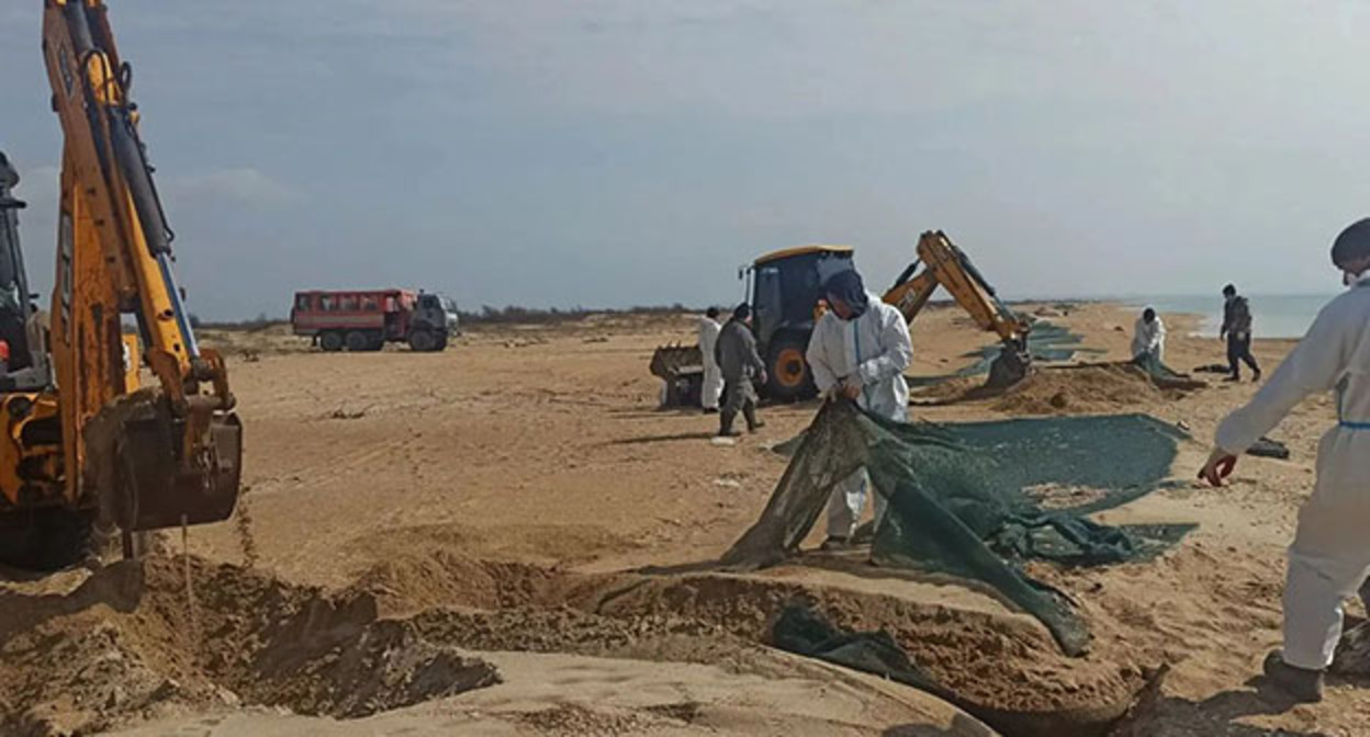 Работы на пляжах Анапы. Фото: https://t.me/opershtab23/15436 Работы на пляжах Анапы. Фото: https://t.me/opershtab23/15436