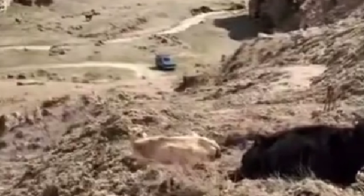 Заваленная дорога к селу Гуйми. Стоп-кадр видео https://www.instagram.com/p/DW_alk2DH5d/ (деятельность компании Meta, владеющей соцсетью, запрещена в России).