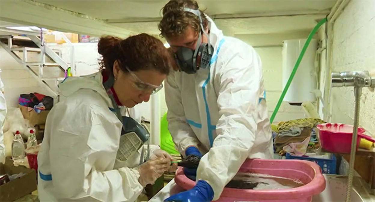 Очистка птиц от нефтепродуктов. 16 апреля 2026 г. Скриншот видео https://t.me/opershtab23/15708 Очистка птиц от нефтепродуктов. 16 апреля 2026 г. Скриншот видео https://t.me/opershtab23/15708