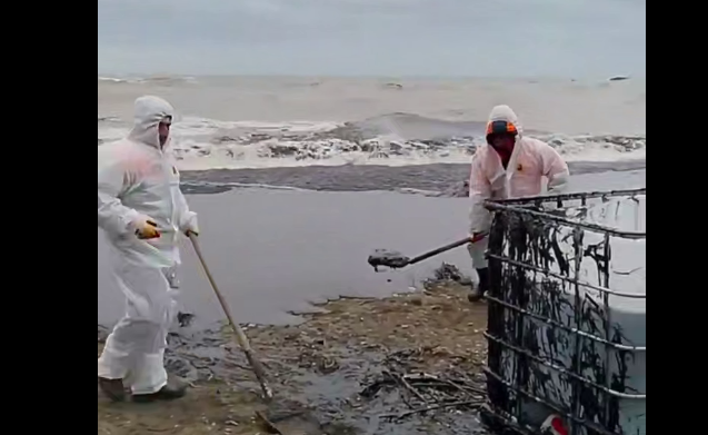 Нефтепродукты собирают лопатами. Стоп-кадр видео из Telegram-канала Жоры Каваносяна от 25.04.26, https://t.me/ecozhora/7520